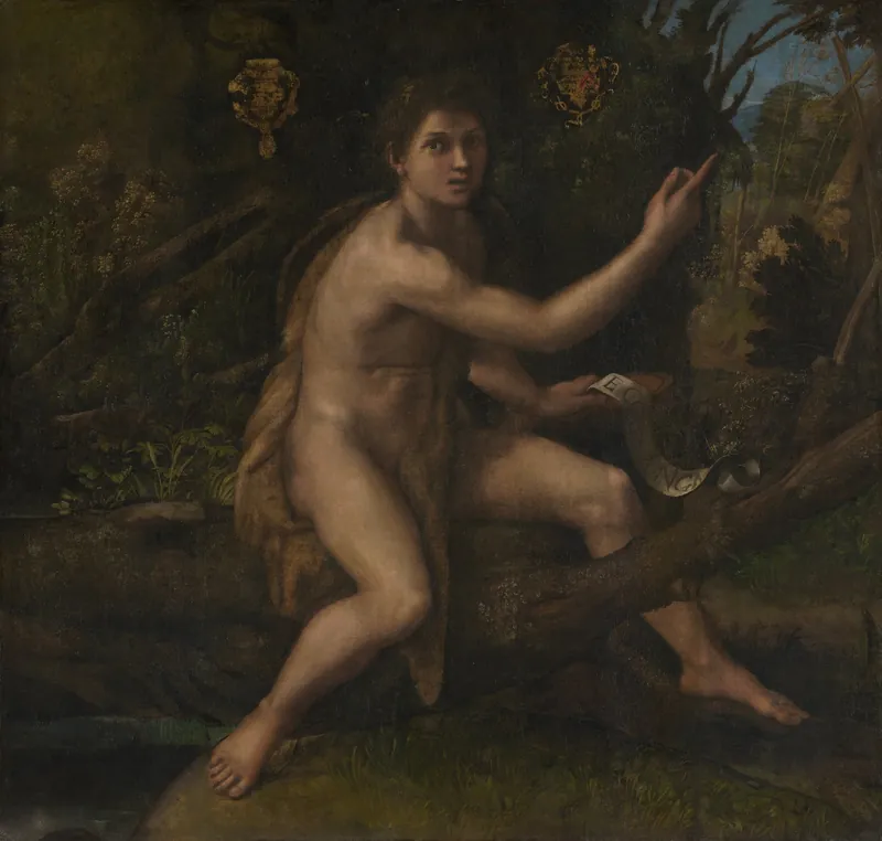 Saint John the Baptist in the Desert by Raphael